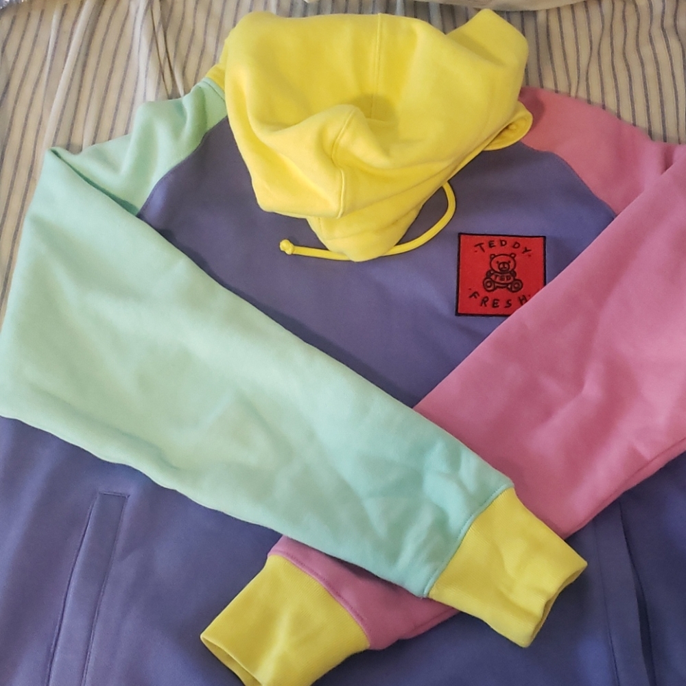 Teddy Fresh Colorblock Hoodie